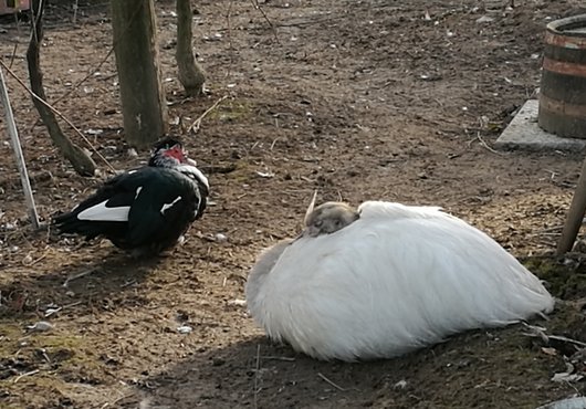 IMG_20181222_134449.jpg