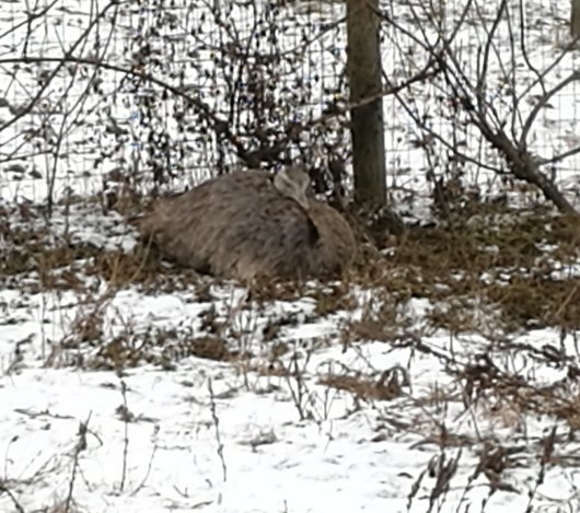 IMG_20190105_103004.jpg