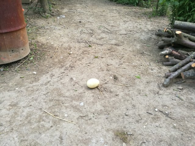 IMG_20190606_201732.jpg