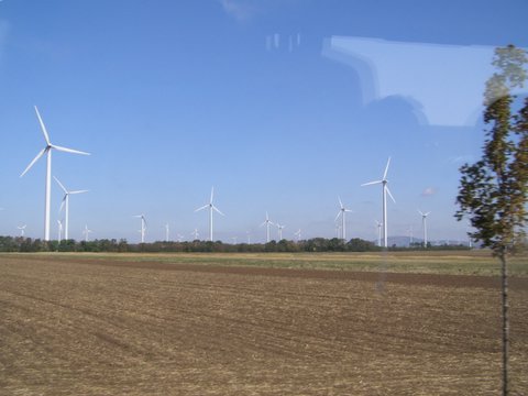 P8244657.JPG