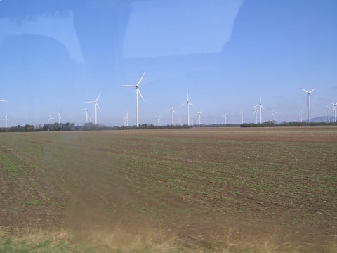 P8244658.JPG
