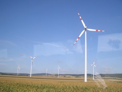 P8244661.JPG