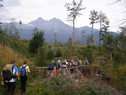 P8254724.JPG
