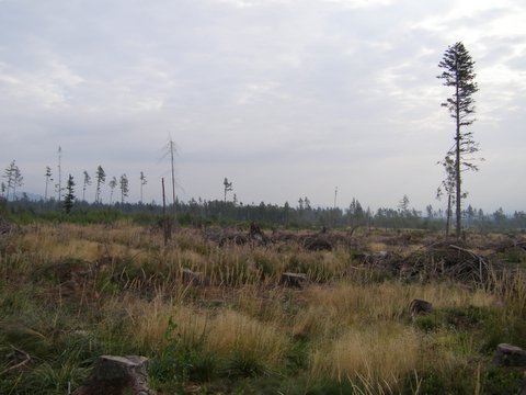 P8254727.JPG