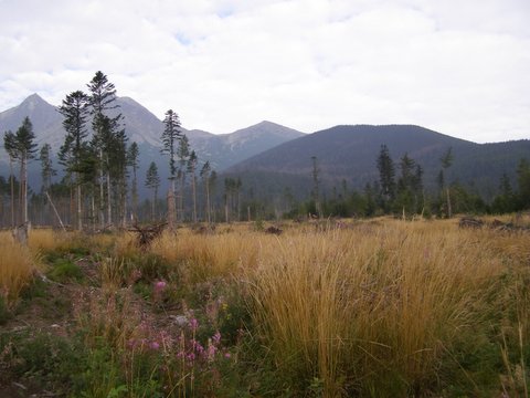 P8254730.JPG