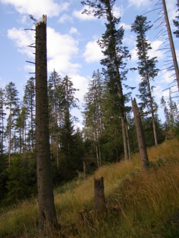 P8254731.JPG