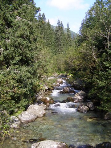 P8254742.JPG
