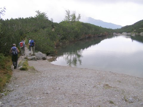 P8254778.JPG
