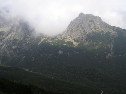 P8254780.JPG