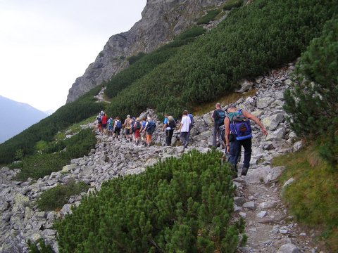 P8254781.JPG