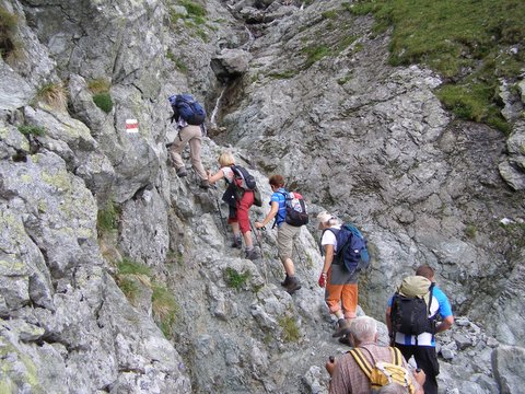 P8254784.JPG