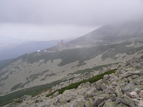 P8254798.JPG