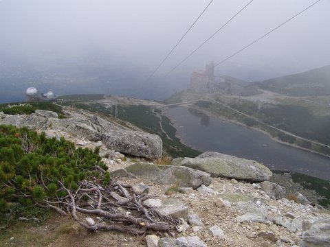 P8254800.JPG
