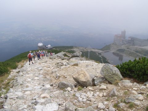 P8254801.JPG