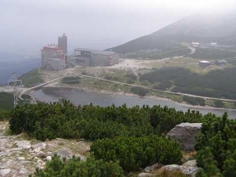 P8254803.JPG