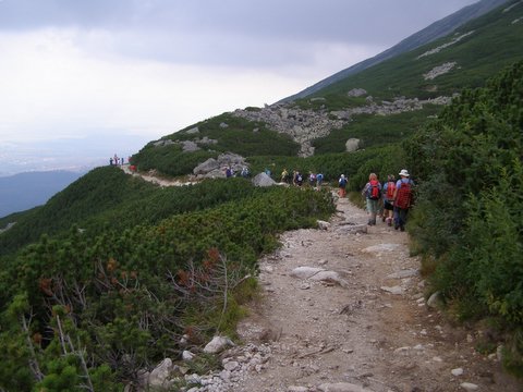 P8254821.JPG