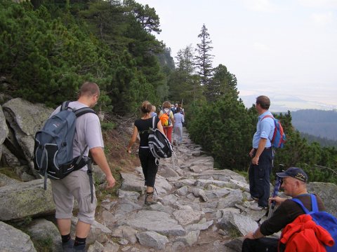 P8254827.JPG