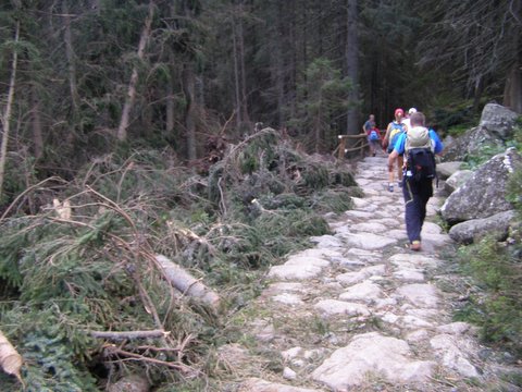 P8254840.JPG