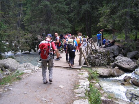 P8254842.JPG