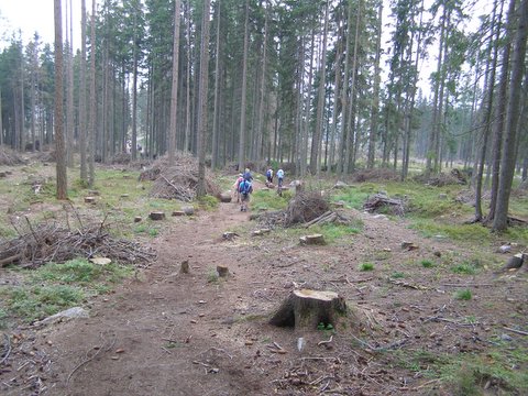 P8254862.JPG