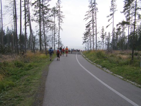 P8254866.JPG