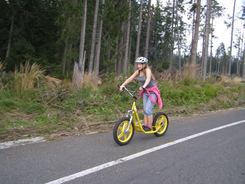 P8254871.JPG