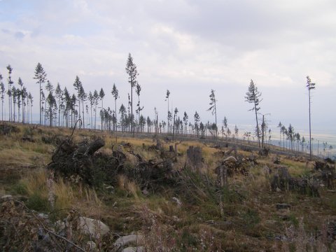 P8254876.JPG