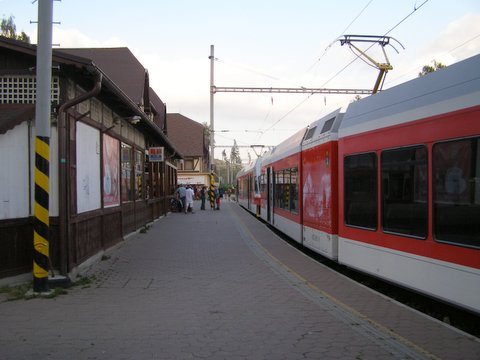 P8254895.JPG