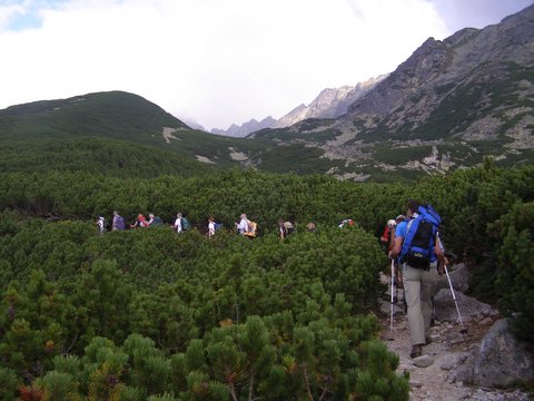P8264928.JPG