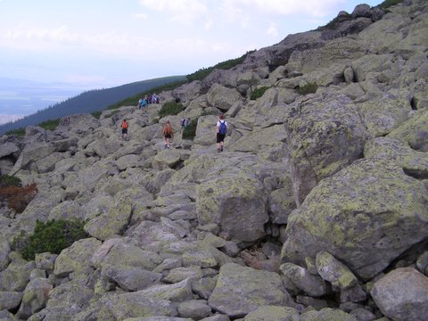 P8264950.JPG