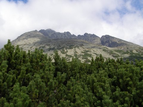 P8264953.JPG