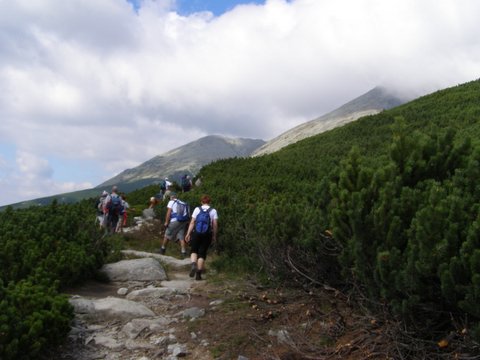P8264954.JPG