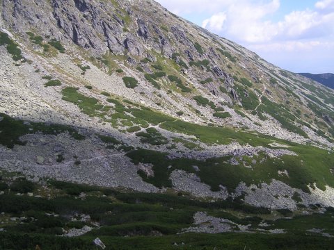 P8264975.JPG