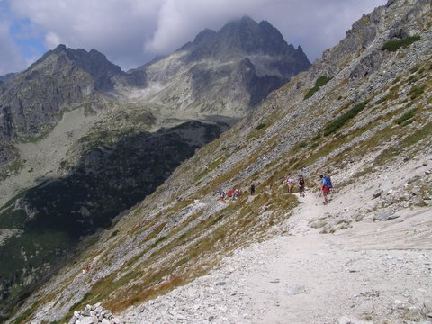 P8264985.JPG