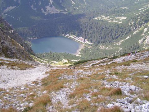 P8264987.JPG