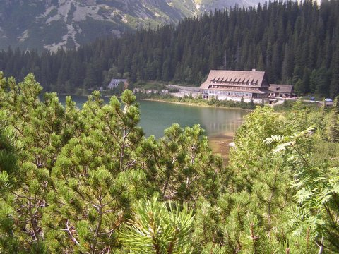 P8264992.JPG