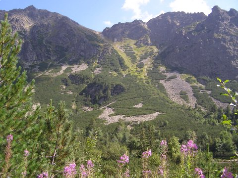 P8264998.JPG