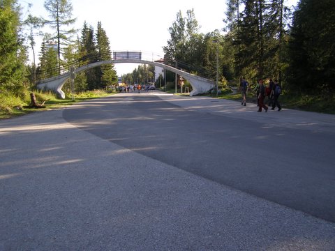 P8265027.JPG