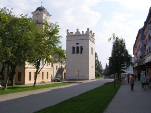 P8275053.JPG