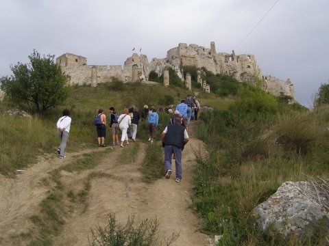 P8285229.JPG