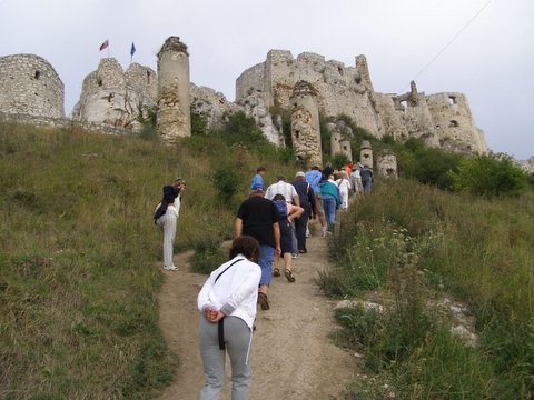 P8285231.JPG