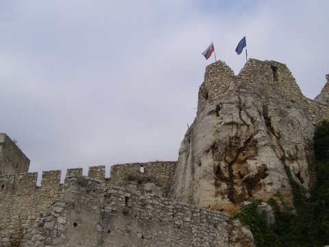 P8285234.JPG