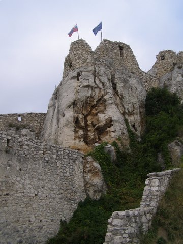 P8285240.JPG