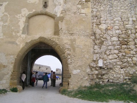 P8285243.JPG