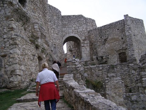 P8285254.JPG