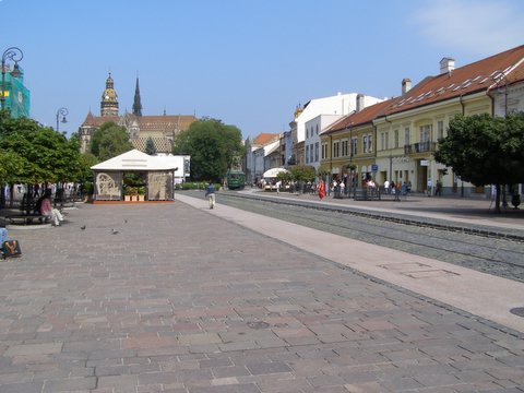 P8285311.JPG