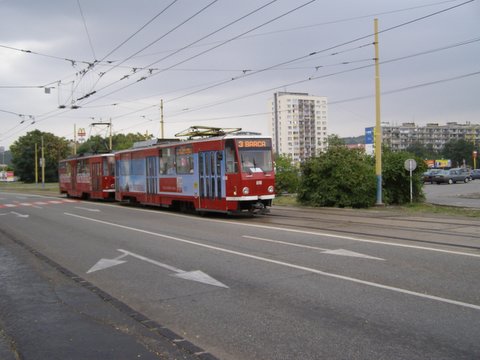 P8285341.JPG