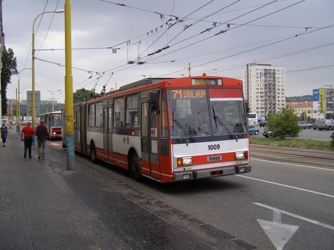 P8285342.JPG
