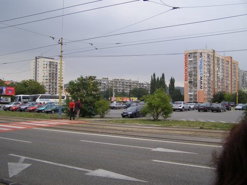 P8285343.JPG