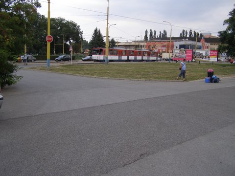 P8285351.JPG